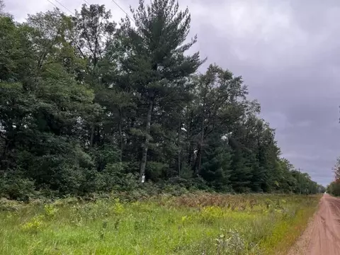 Parcel A Michway, Baldwin, MI 49304 photo 14