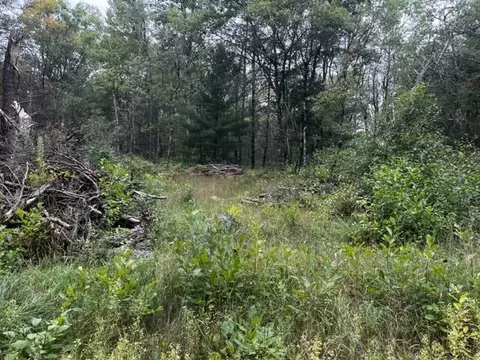 Parcel B Michway, Baldwin, MI 49304 photo 13