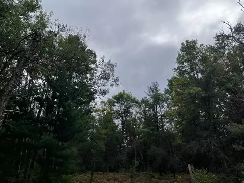 Parcel B Michway, Baldwin, MI 49304 photo 10