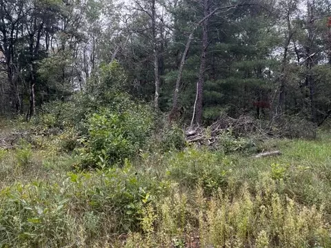 Parcel B Michway, Baldwin, MI 49304 photo 14