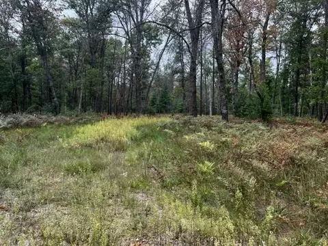 Parcel B Michway, Baldwin, MI 49304 photo 12