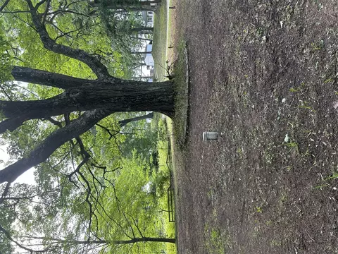 9779 Birch Dr, Chippewa Lake, MI 49320