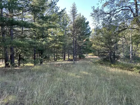 429 W 72nd, Baldwin, MI 49304 photo 3