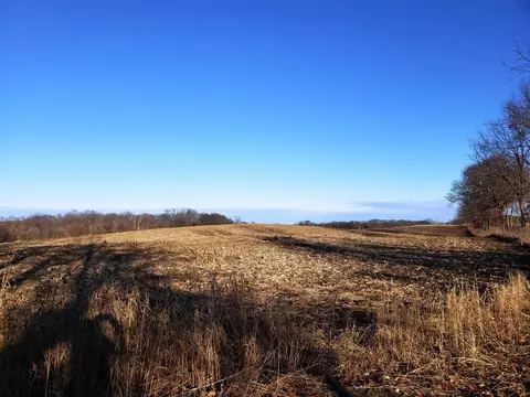 Delong Rd, Marcellus, MI 49067 photo 5