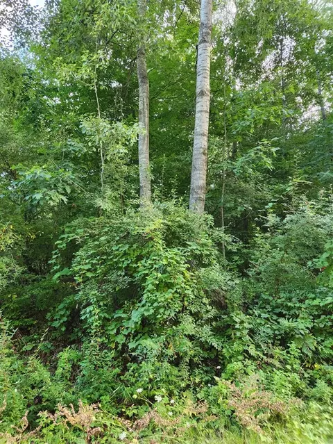 Vl 17 Mile, Big Rapids, MI 49307 photo 4