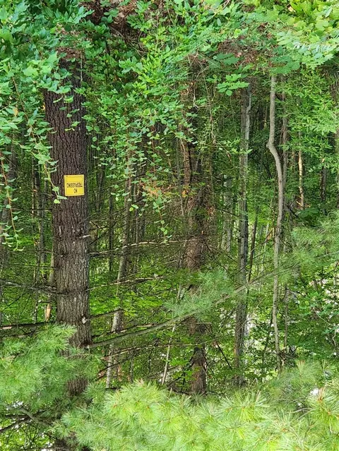 Vl 17 Mile, Big Rapids, MI 49307 photo 6