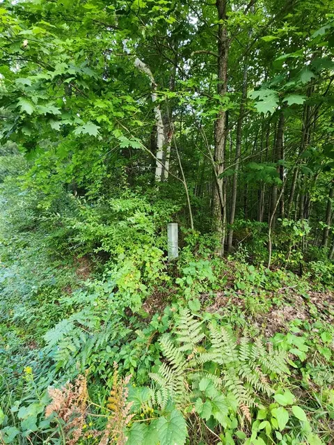 Vl 17 Mile, Big Rapids, MI 49307 photo 5