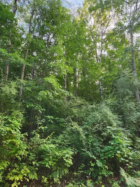 Vl 17 Mile, Big Rapids, MI 49307 photo 3
