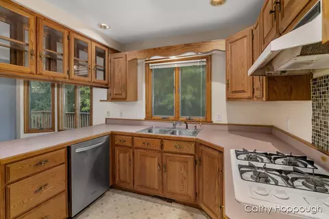 811 Bradford, Belding, MI 48809 photo 12