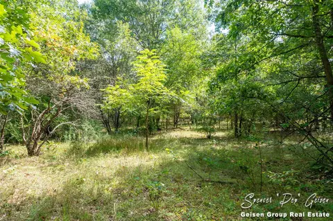 6555 Dumon, Belding, MI 48809 photo 21