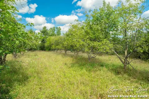6555 Dumon, Belding, MI 48809 photo 29