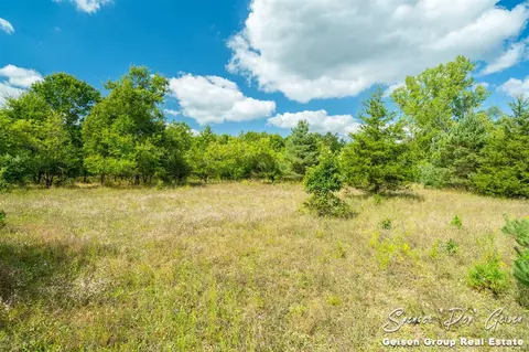 6555 Dumon, Belding, MI 48809 photo 30