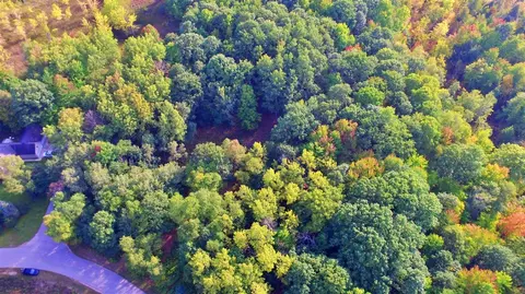 6185 Fawn Lk, Canadian Lakes, MI 49346