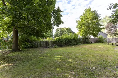 408 Lewis, Belding, MI 48809 photo 50