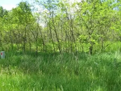0 Wolf Lake Rd, Jackson, MI 49201 photo 3