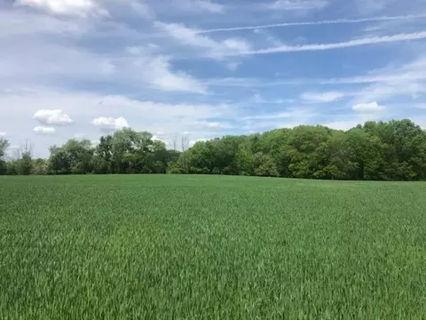 13074 24th, Marne, MI 49435