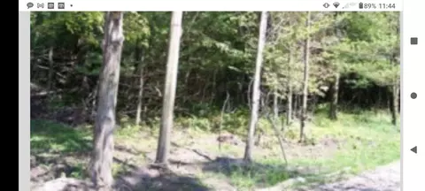000 117th, Fennville, MI 49408