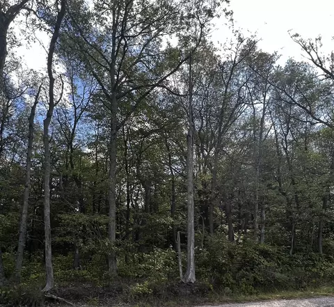 V/l Brooks, Muskegon, MI 49442