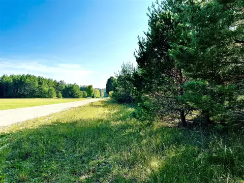 Parkside Street, Mancelona, MI 49659
