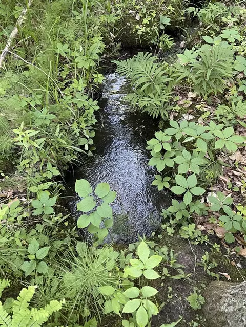 Timber Ridge, East Jordan, MI 49727