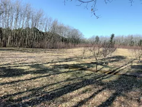 17 N 21 A N 40th, Mears, MI 49436 photo 2
