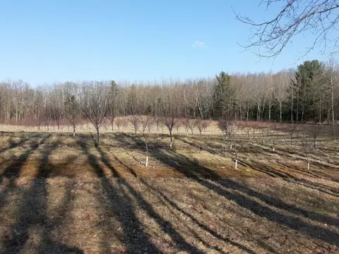 17 N 21 A N 40th, Mears, MI 49436 photo 7