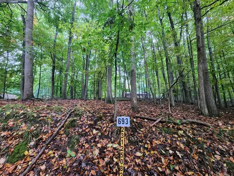 9845 Lost Cyn, Stanwood, MI 49346