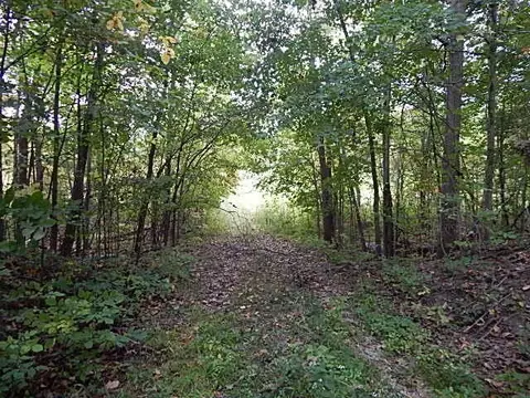 10385 White Pne, Morenci, MI 49256