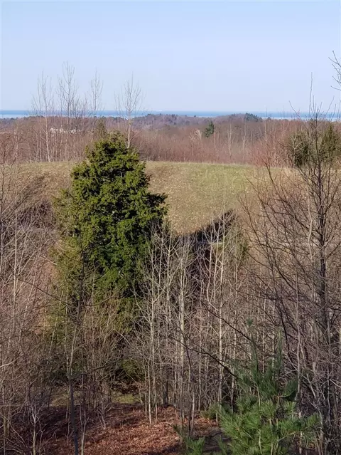 eagle ridge circle LOT 103, Onekama, MI 49675 photo 8