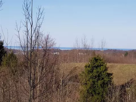 eagle ridge circle LOT 103, Onekama, MI 49675 photo 4