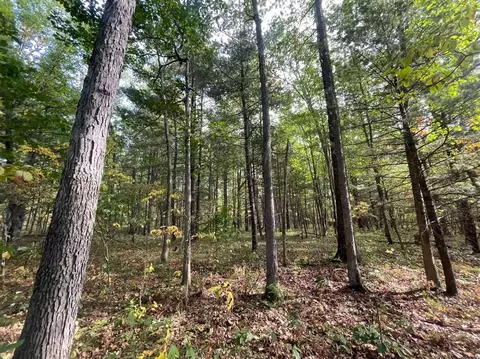 V/l 12.19a Rapp, Grant, MI 49327 photo 6
