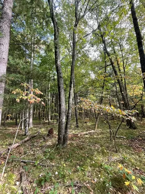 V/l 12.19a Rapp, Grant, MI 49327 photo 7