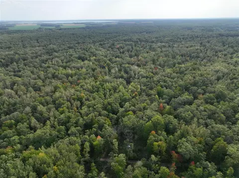 V/l 12.19a Rapp, Grant, MI 49327 photo 21