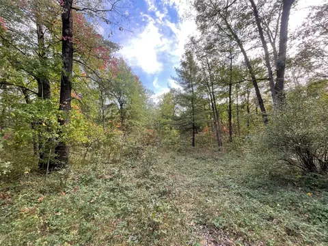 V/l 12.19a Rapp, Grant, MI 49327 photo 15