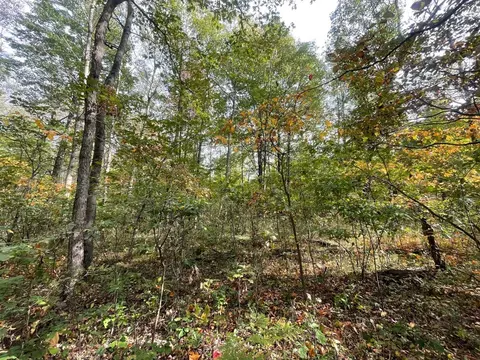 V/l 12.19a Rapp, Grant, MI 49327 photo 12