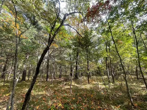 V/l 12.19a Rapp, Grant, MI 49327 photo 8