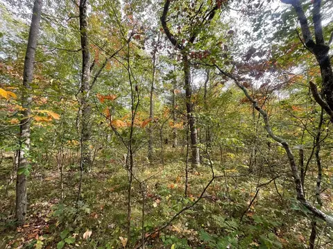 V/l 12.19a Rapp, Grant, MI 49327 photo 11