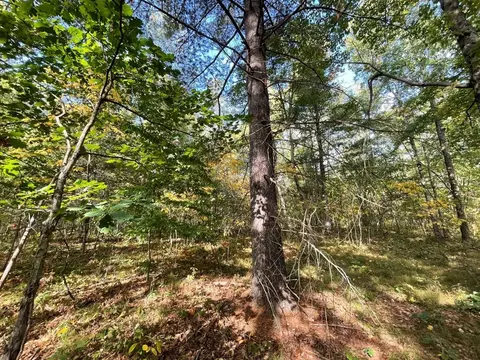 V/l 12.19a Rapp, Grant, MI 49327 photo 5