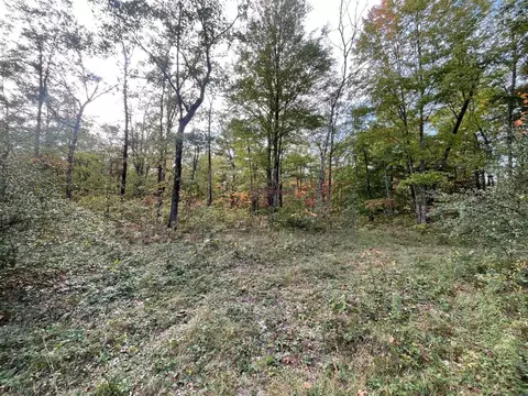 V/l 12.19a Rapp, Grant, MI 49327 photo 3