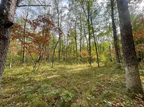 V/l 12.19a Rapp, Grant, MI 49327 photo 13