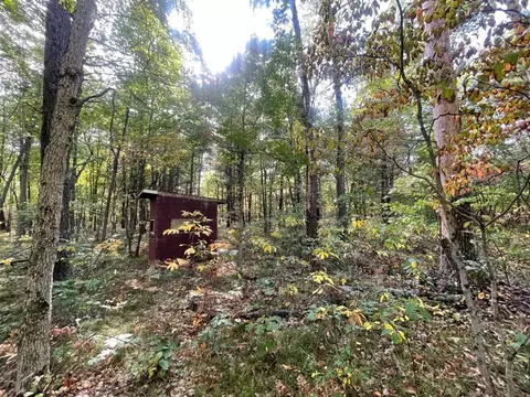 V/l 12.19a Rapp, Grant, MI 49327 photo 4