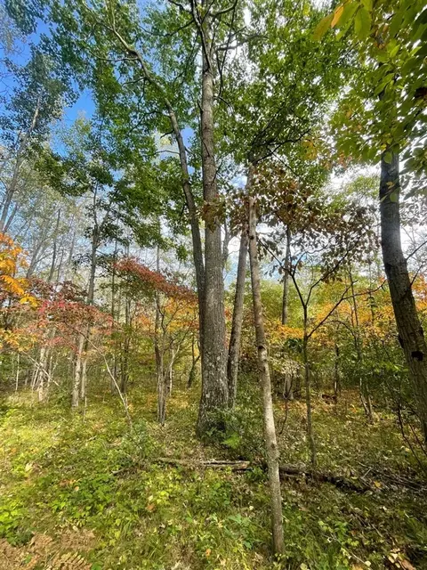 V/l 12.19a Rapp, Grant, MI 49327 photo 9