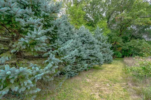 776 M-89, Plainwell, MI 49080 photo 42