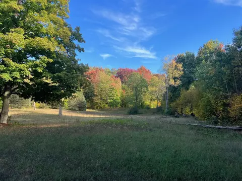 Swanson Road, Bear Lake, MI 49614