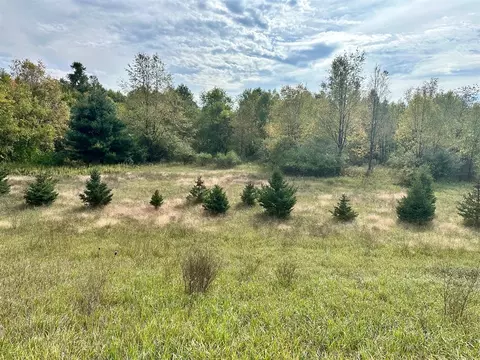 Par B Belding, Belding, MI 48809 photo 3