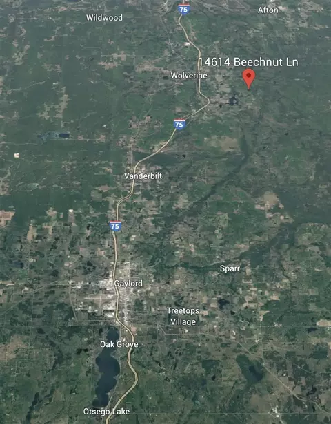 beechnut LOT 226, Wolverine, MI 49799 photo 2