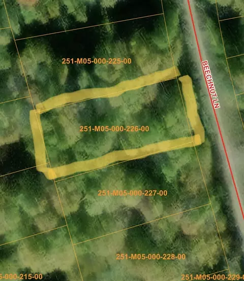 beechnut LOT 226, Wolverine, MI 49799 photo 3