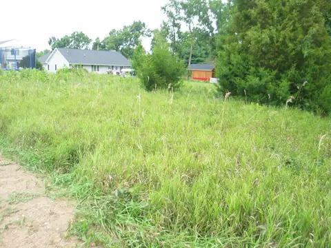 10650 Sherlock, Cement City, MI 49233