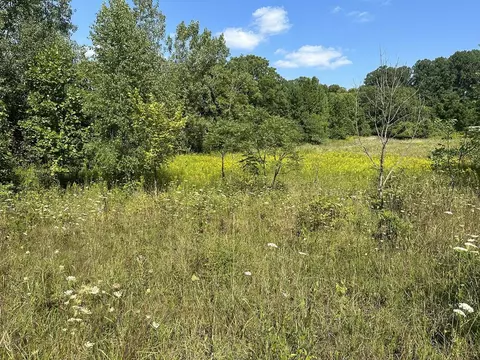 18800 Calvin Hl, Cassopolis, MI 49031