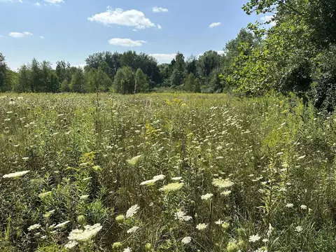 18800 Calvin Hl, Cassopolis, MI 49031 photo 3